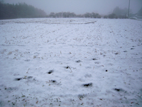DSCN1397.jpg