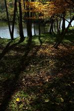 _Z0A08831.JPG