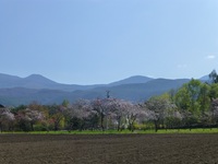 P1100235.jpg