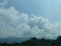 P1110067.jpg