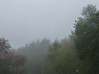 P1120020.jpg
