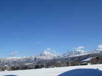 201502093.JPG