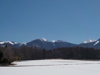 201503214.JPG