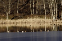 _Z0A6039.JPG