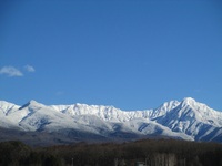IMG_1173.JPG