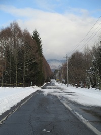 IMG_1241.JPG