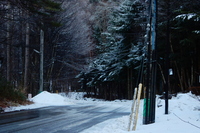 DSCN0692.JPG