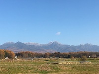 IMG_3437.JPG