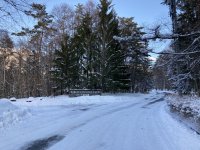 幹線道路　フォレストカントリークラブ入口