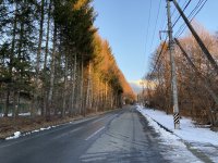 幹線道路　きすげ平～からまつ平付近