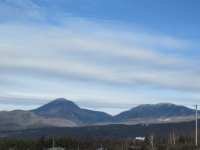 IMG_4034-2.jpg