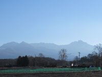 IMG_4105-2.jpg