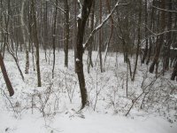 IMG_4305-2.jpg