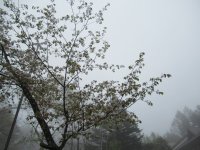 IMG_5116-2.jpg