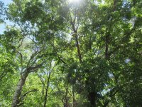 IMG_5306-2.jpg
