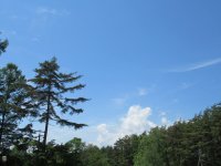 IMG_5365-2.jpg