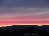 IMG_5473-2.jpg