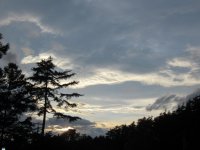 IMG_5488-2.jpg
