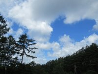 IMG_5627-2.jpg