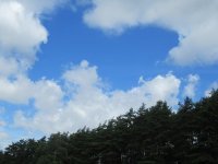 IMG_5628-2.jpg