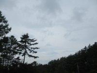 IMG_5869-2.jpg