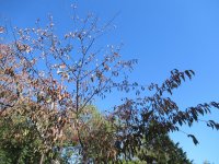 IMG_5886-2.jpg