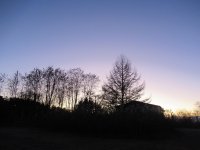 IMG_6334-2.jpg