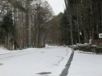IMG_6367-2.jpg