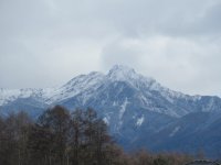 IMG_6448-2.jpg