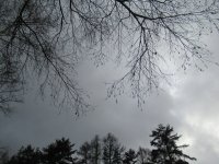 IMG_6470-2.jpg