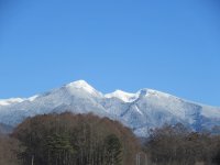 IMG_6672-2.jpg