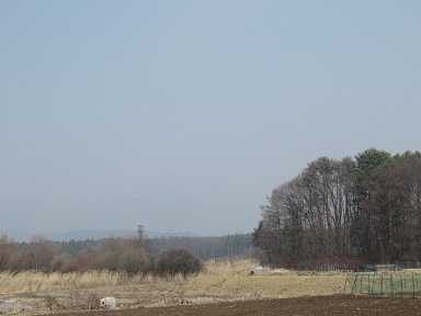 IMG_6860-35.jpg