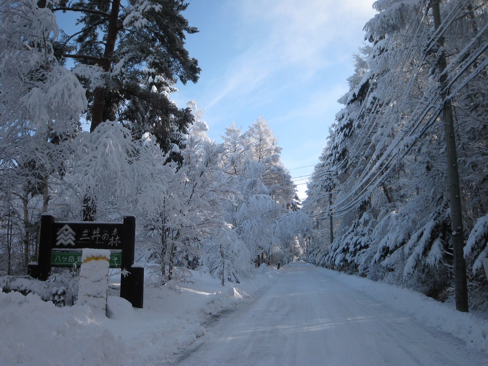 https://www.31kanri.jp/yatsugatake/info/210125.JPG