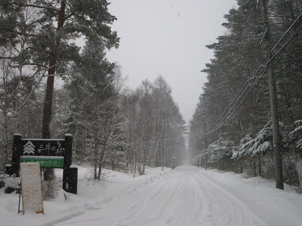 https://www.31kanri.jp/yatsugatake/info/220322.JPG