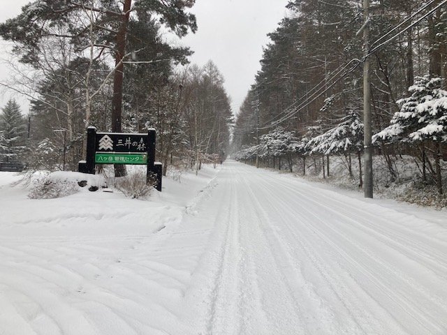 https://www.31kanri.jp/yatsugatake/info/250204.jpg