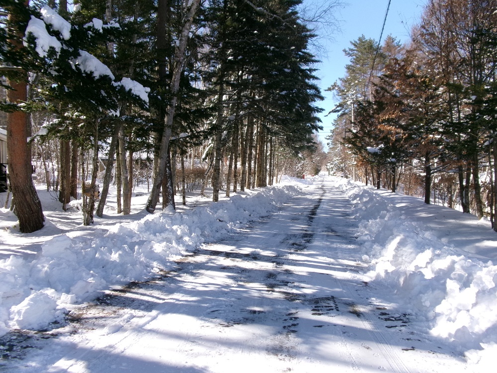 https://www.31kanri.jp/yatsugatake/info/250320edasen.JPG