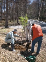 140412　copyたてマユミ植栽後3人.JPG