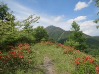 1506　copy蓼科山と歩道.JPG