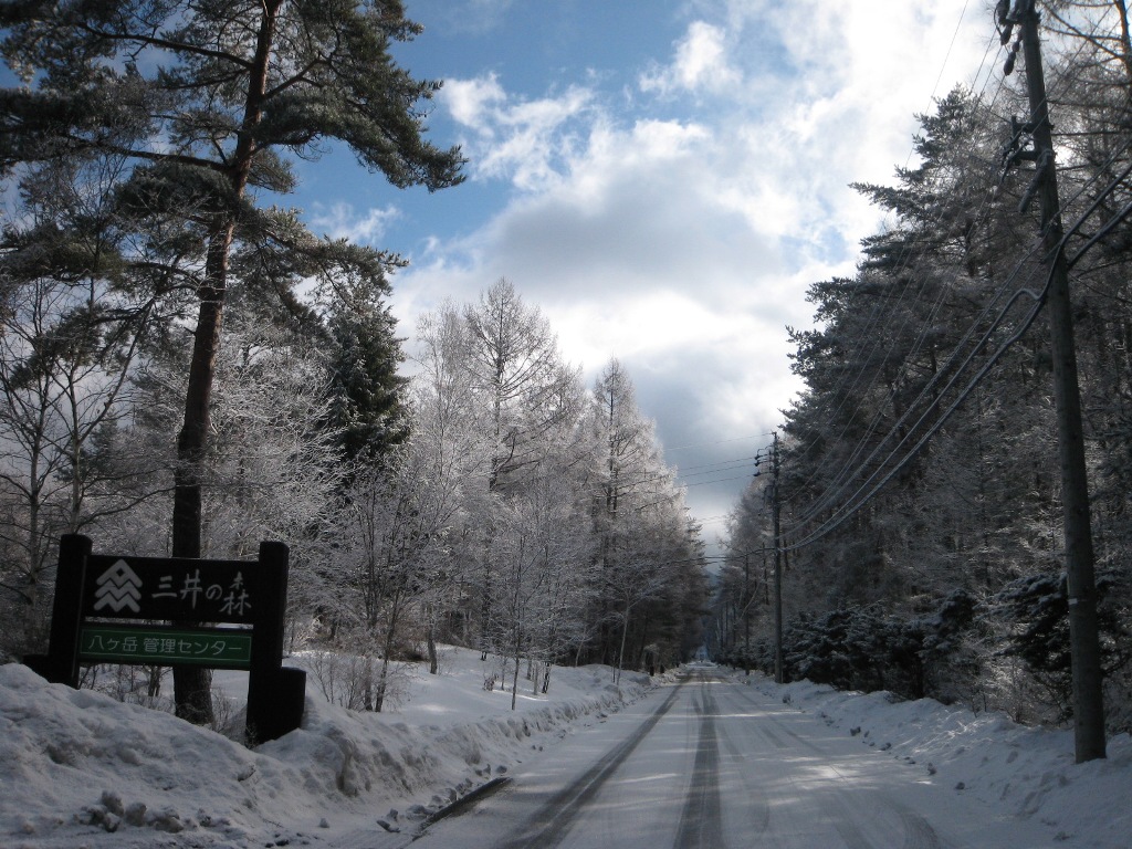 /yatsugatake/now/110302%20%E4%B8%89%E4%BA%95%E3%81%AE%E6%A3%AE.JPG