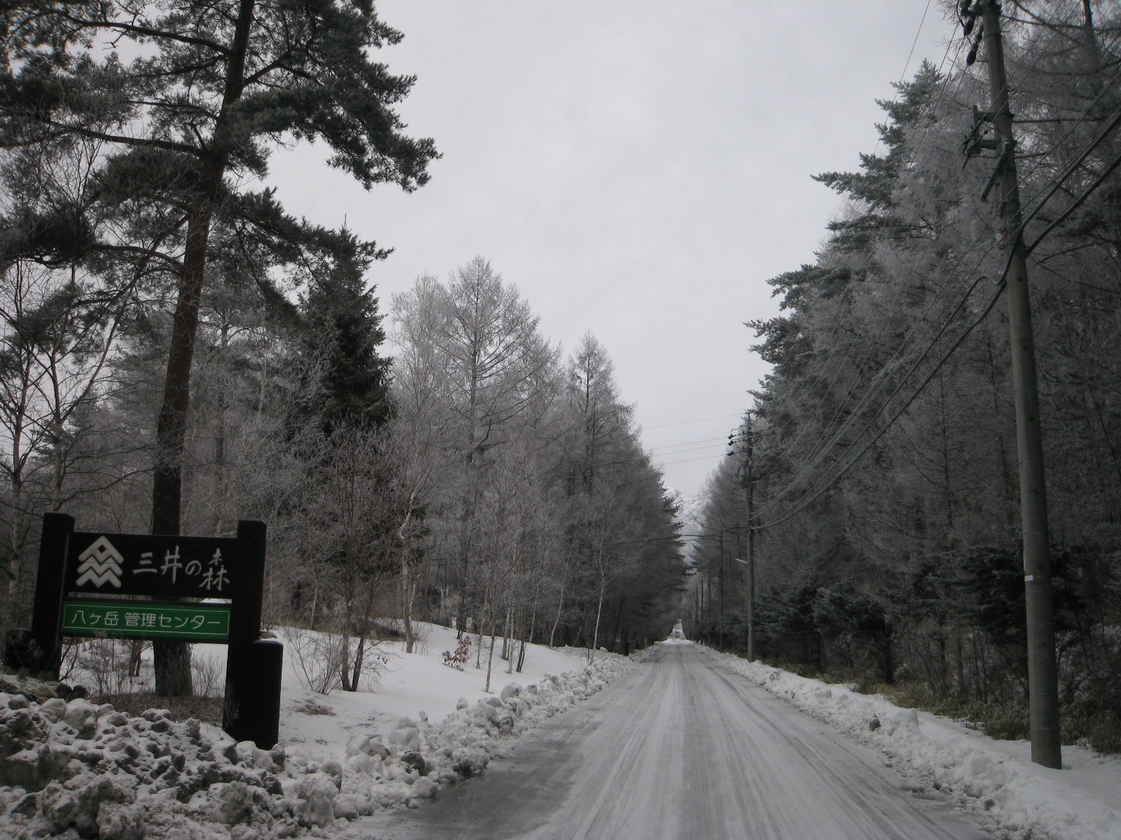 /yatsugatake/now/120226%20%E4%B8%89%E4%BA%95%E3%81%AE%E6%A3%AE.JPG