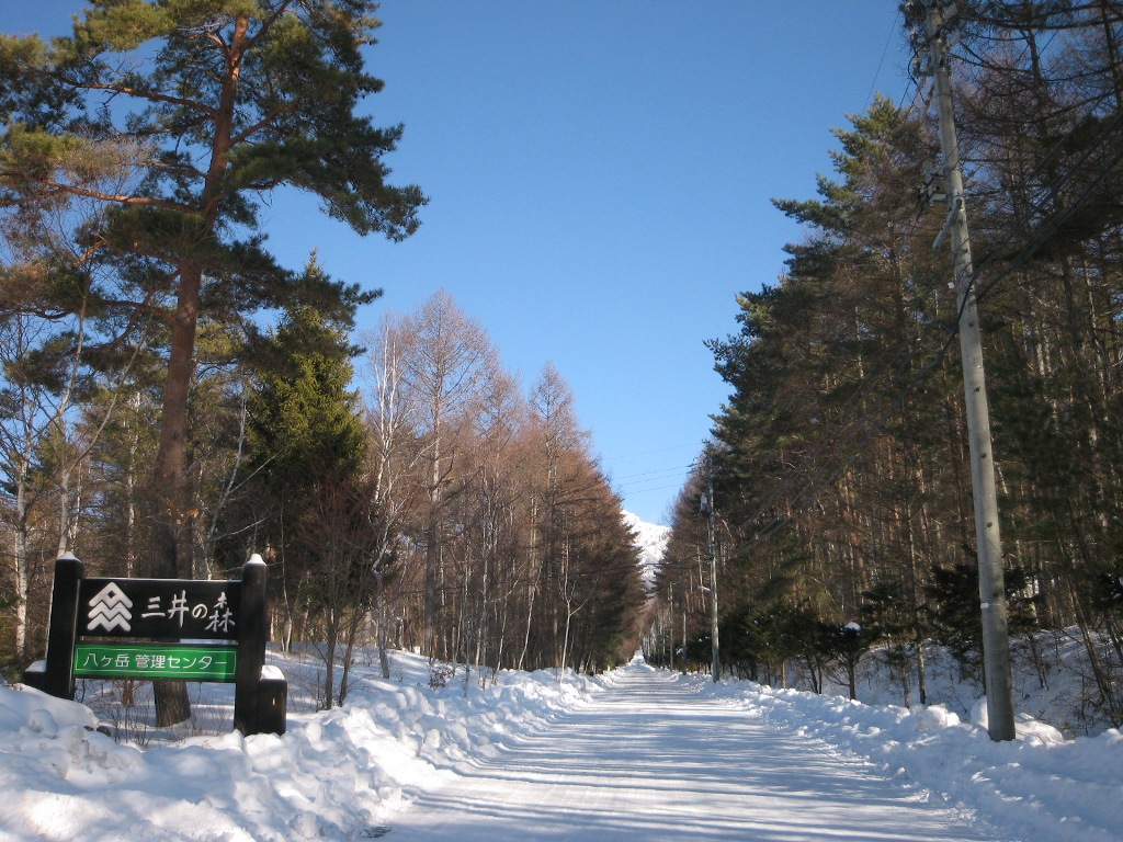 /yatsugatake/now/130130%20%E4%B8%89%E4%BA%95%E3%81%AE%E6%A3%AE.JPG