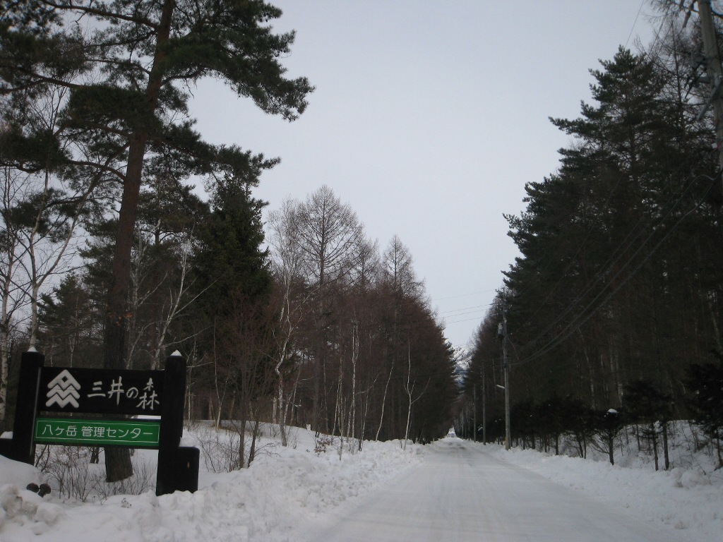 /yatsugatake/now/130201%20%E4%B8%89%E4%BA%95%E3%81%AE%E6%A3%AE.JPG