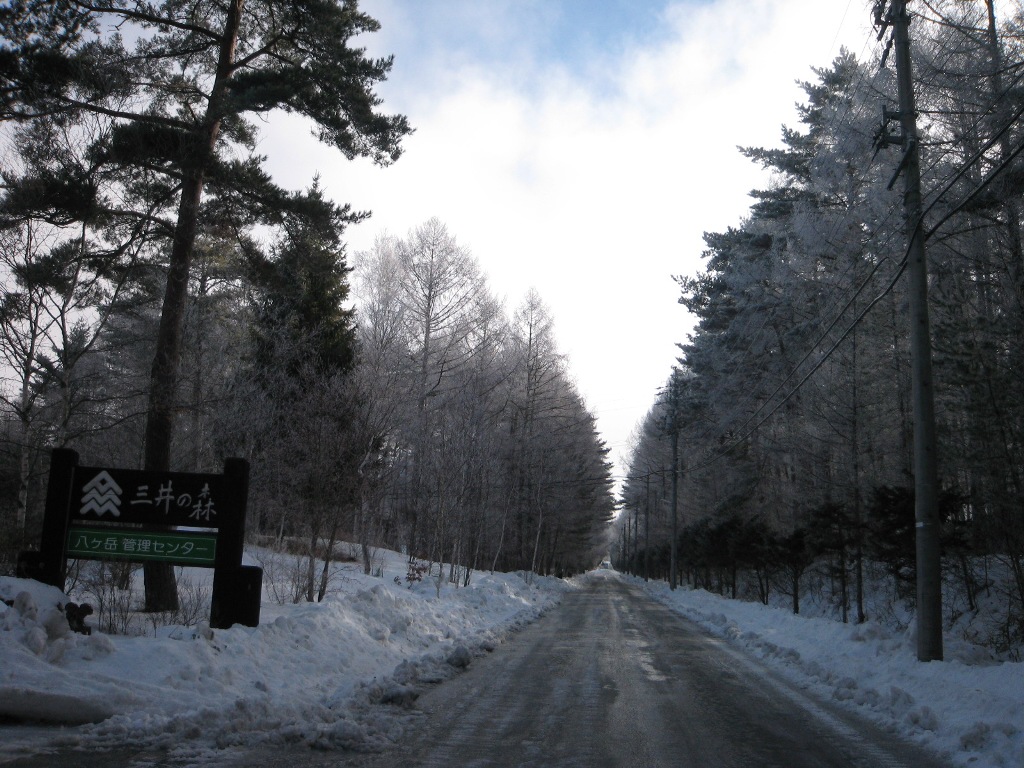 /yatsugatake/now/130205%20%E4%B8%89%E4%BA%95%E3%81%AE%E6%A3%AE.JPG