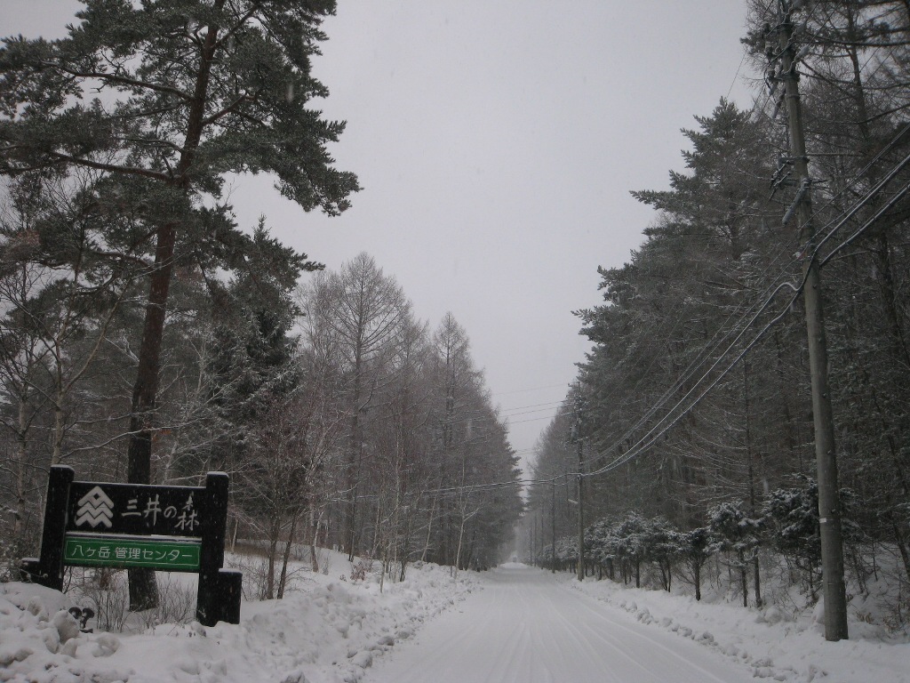 /yatsugatake/now/130206%20%E4%B8%89%E4%BA%95%E3%81%AE%E6%A3%AE.JPG