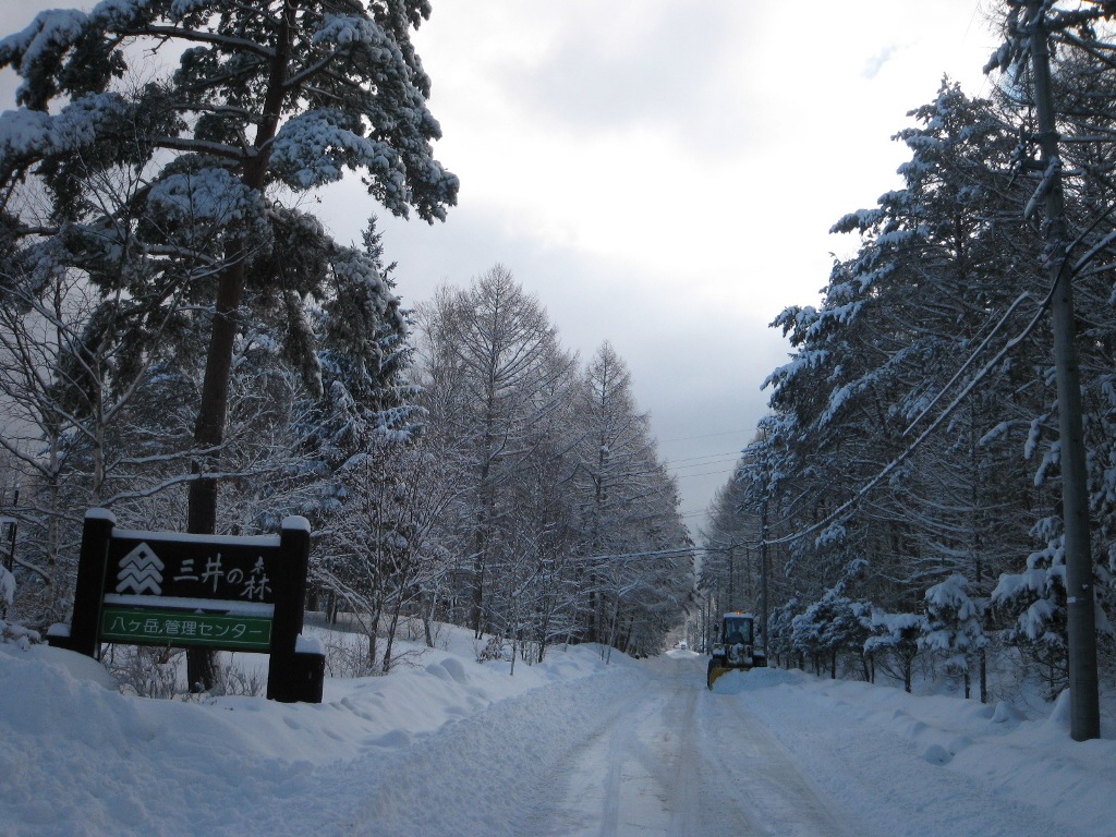 /yatsugatake/now/130213%20%E4%B8%89%E4%BA%95%E3%81%AE%E6%A3%AE.JPG