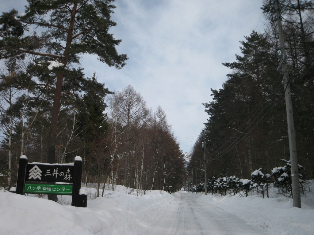 /yatsugatake/now/130217%20%E4%B8%89%E4%BA%95%E3%81%AE%E6%A3%AE.JPG