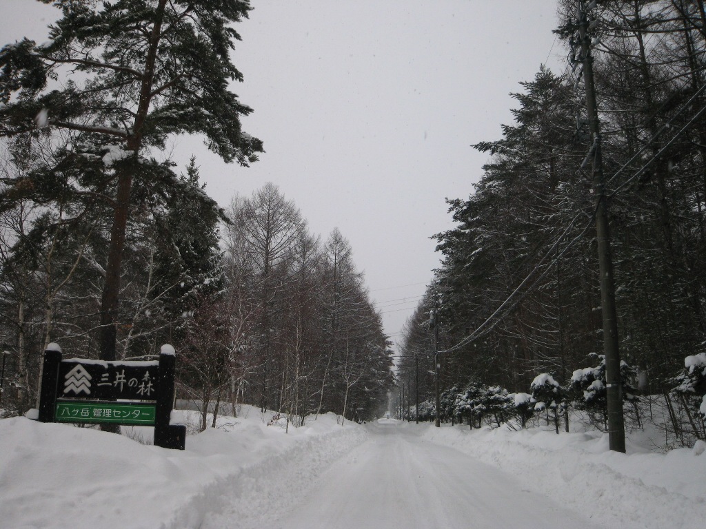 /yatsugatake/now/130218%20%E4%B8%89%E4%BA%95%E3%81%AE%E6%A3%AE.JPG