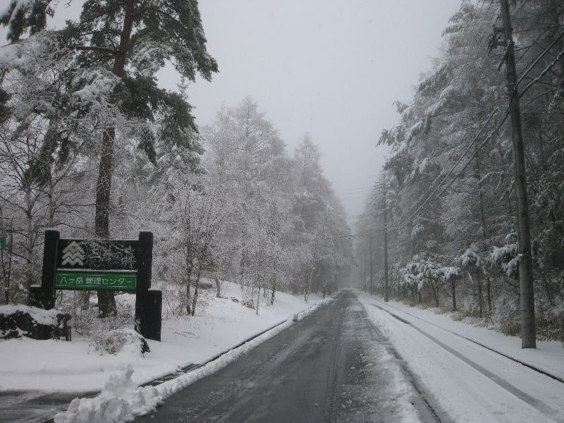 /yatsugatake/now/130421%20%E4%B8%89%E4%BA%95%E3%81%AE%E6%A3%AE.JPG