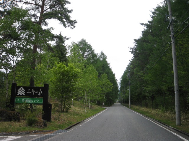 /yatsugatake/now/130528%20%E4%B8%89%E4%BA%95%E3%81%AE%E6%A3%AE.JPG