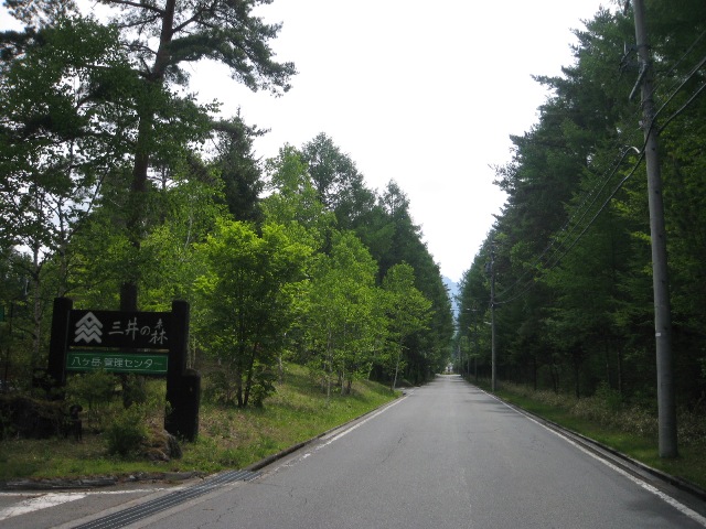 /yatsugatake/now/130602%20%E4%B8%89%E4%BA%95%E3%81%AE%E6%A3%AE.JPG